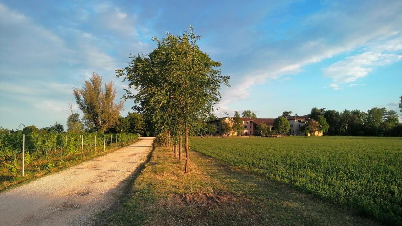 Agriturismo Alle Albare Montorio Veronese Extérieur photo