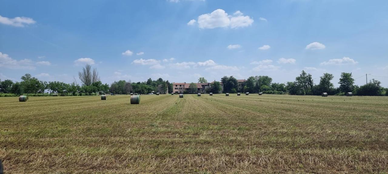 Agriturismo Alle Albare Montorio Veronese Extérieur photo