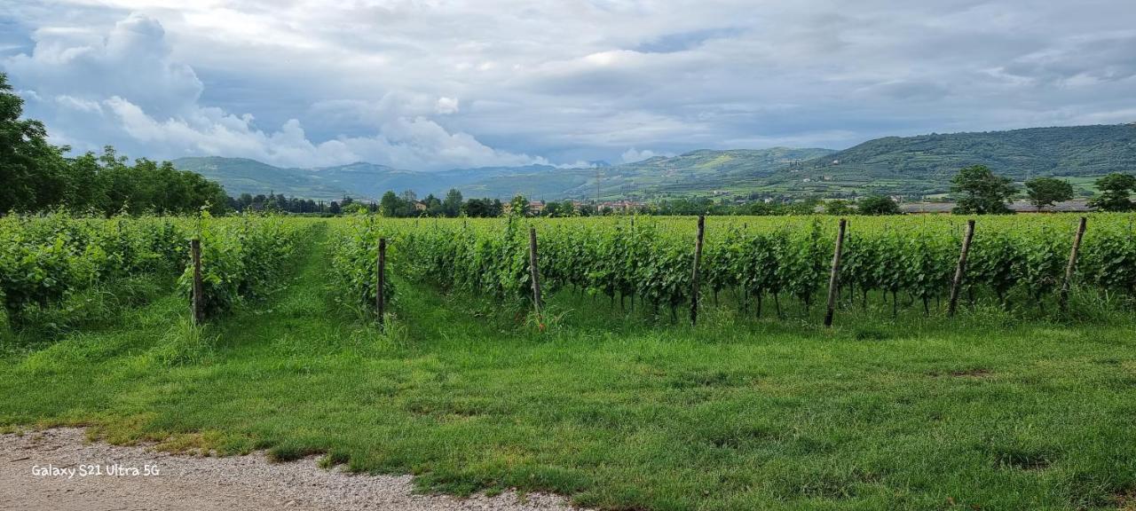 Agriturismo Alle Albare Montorio Veronese Extérieur photo
